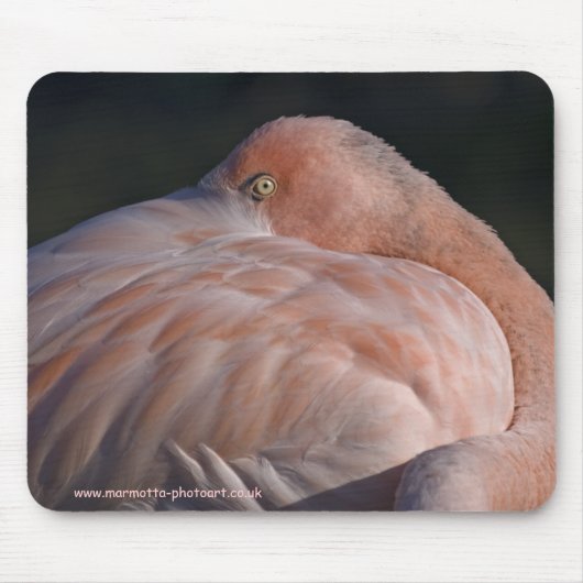 Schlafender Flamingo-Mauspad Mousepad (Vorne)