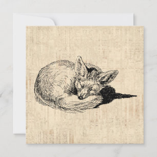 Schlafender Fuchs Illustrierte Kunst Süße Vintage- Karte