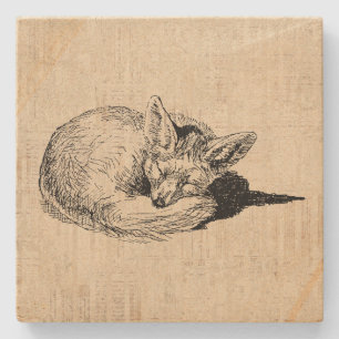 Schlafender Fuchs Illustrierte Kunst Süße Vintage- Steinuntersetzer