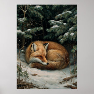 Schlafender Fuchs im Winterwald Poster