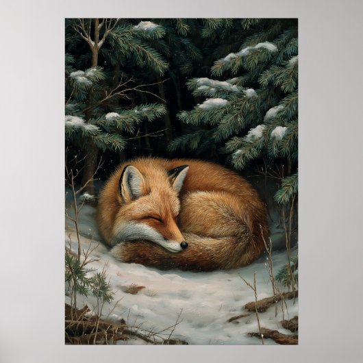 Schlafender Fuchs im Winterwald Poster (Vorne)
