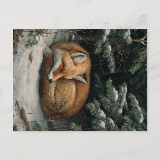 Schlafender Fuchs im Winterwald Postkarte (Vorderseite)