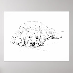 Schlafender Golden Retriever, Wandkunst Druck Poster