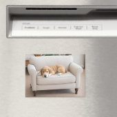 Schlafender Golden Retriever Welpe Magnet (In Situ (Geschirrspüler))
