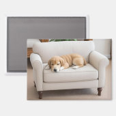 Schlafender Golden Retriever Welpe Magnet (Vorderseite/Rückseite)