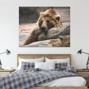 Schlafender Grizzlybär gestreckter Leinwanddruck