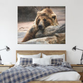Schlafender Grizzlybär gestreckter Leinwanddruck (Insitu (Schlafzimmer))