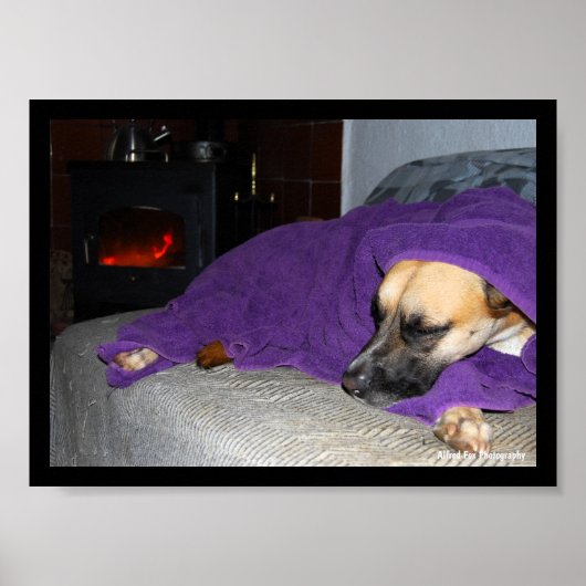 Schlafender Hund am Kamin Poster (Vorne)