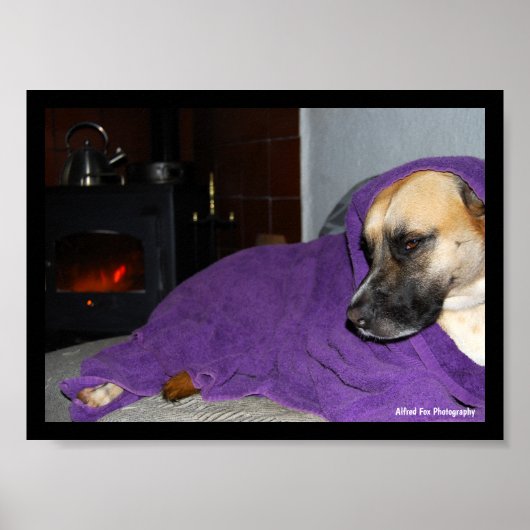 Schlafender Hund am Kamin Poster (Vorne)