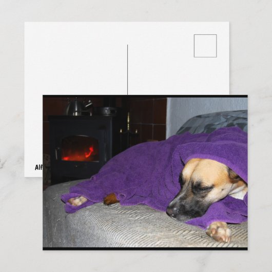 Schlafender Hund am Kamin Postkarte (Vorne/Hinten)