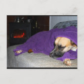 Schlafender Hund am Kamin Postkarte (Vorderseite)