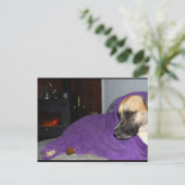 Schlafender Hund am Kamin Postkarte (Stehend Vorderseite)