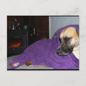 Schlafender Hund am Kamin Postkarte (Vorderseite)