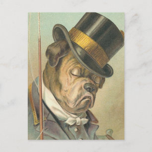 "Schlafender Hund" Vintage Postkarte