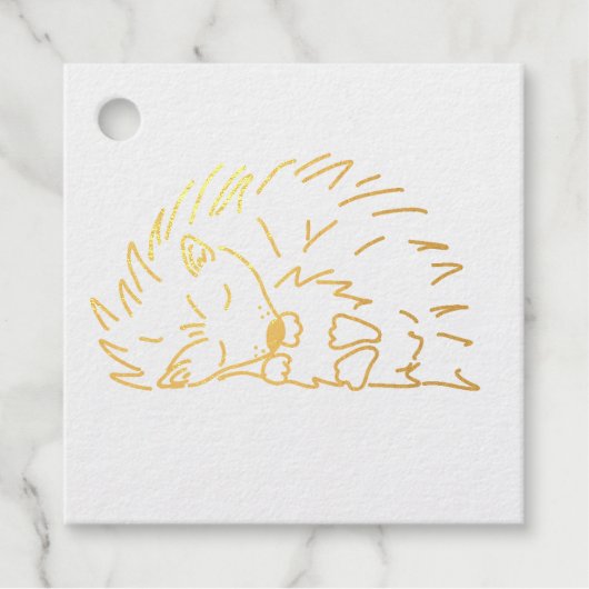 Schlafender Igel Geschenkanhänger (Vorderseite)