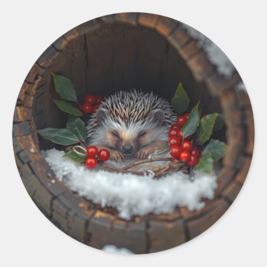 Schlafender Igel Weihnachtsspaß Runder Aufkleber (Vorderseite)