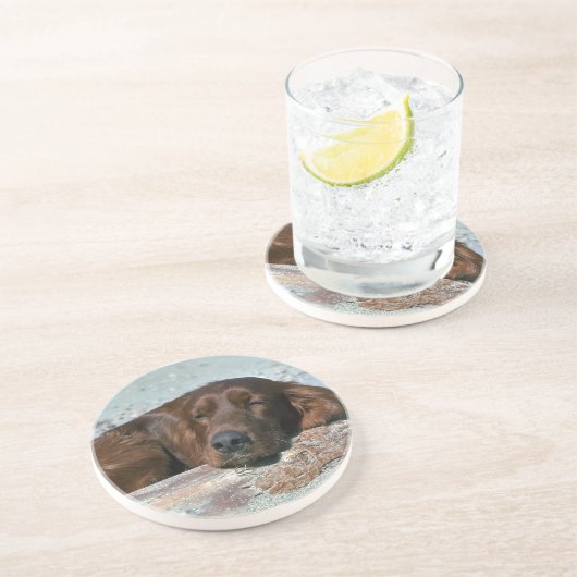 Schlafender Irischer Setter Untersetzer (Seite)