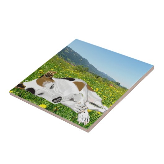 Schlafender Jack Russell in einer farbenfrohen Blu Fliese (Seite)