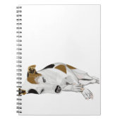 Schlafender Jack Russell Notizblock (Vorderseite)
