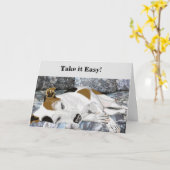Schlafender Jack Russell Terrier Editierbare Gebur Karte (Gelbe Blume)