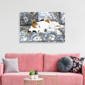 Schlafender Jack Russell Terrier Leinwanddruck (Insitu (Wohnzimmer))