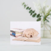 Schlafender Labrador Postkarte (Stehend Vorderseite)