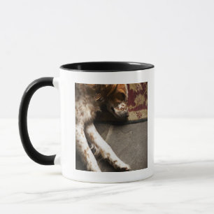 Schlafender Llewelyn Setzer Tasse