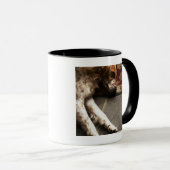 Schlafender Llewelyn Setzer Tasse (VorderseiteRechts)