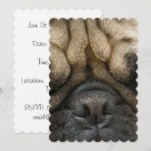 Schlafender Mops Einladung (Vorne/Hinten)