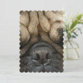 Schlafender Mops Einladung (Stehend Vorderseite)