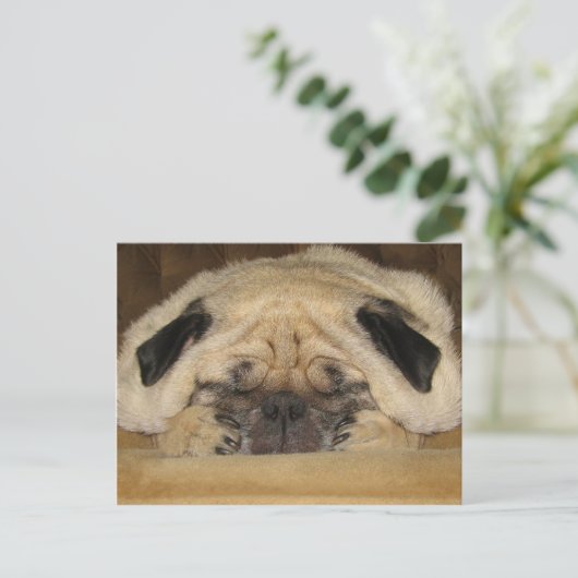 Schlafender Mops Postkarte (Stehend Vorderseite)