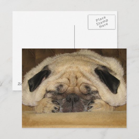 Schlafender Mops Postkarte (Vorne/Hinten)