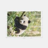 Schlafender Panda in Bambusdecke Fleecedecke (Vorderseite (Horizontal))