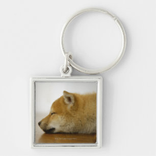 Schlafender Shiba-Ken 2 Schlüsselanhänger