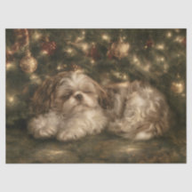 Schlafender Shih Tzu