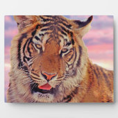 Schlafender Tiger - Fotoplatte (Vorderseite)
