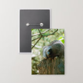 Schlafender Waschbär-Aufkleber Button (Vorderseite/Rückseite)
