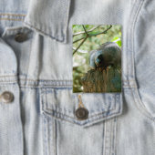 Schlafender Waschbär-Aufkleber Button (Insitu)