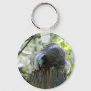 Schlafender Waschbär Schlüsselanhänger