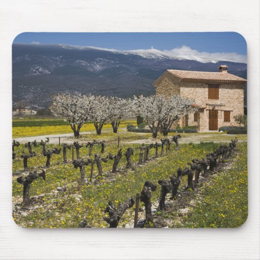 Schlafender Weinberg, Frucht blüht, Steinhaus, Mousepad (Vorne)