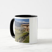 Schlafender Weinberg, Frucht blüht, Steinhaus, Tasse (Vorderseite Links)