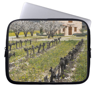 Schlafender Weinberg, Obstblüten, Steinhäuschen, Laptopschutzhülle