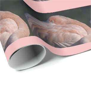 Schlafendes Flamingo-Geschenkpapier Geschenkpapier