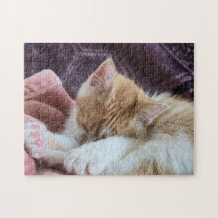 Schlafendes Kätzchen Puzzle