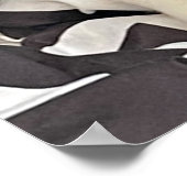 Schlafendes Katze Poster (Ecke)