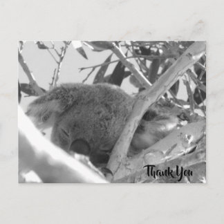 Schlafendes Koala, Schwarz-Weiß-Fotografie, Austra Postkarte