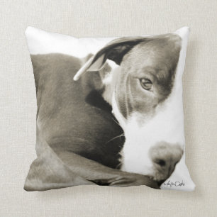 schlafendes Pitbull-Sepia-Foto-Kissen Kissen