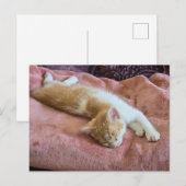 Schlafendes rotes Kätzchen Postkarte (Vorne/Hinten)