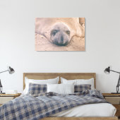 Schlafendes Siegel Leinwanddruck (Insitu (Schlafzimmer))