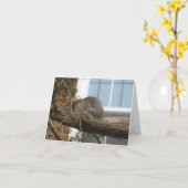 Schlafeneichhörnchen Karte (Gelbe Blume)